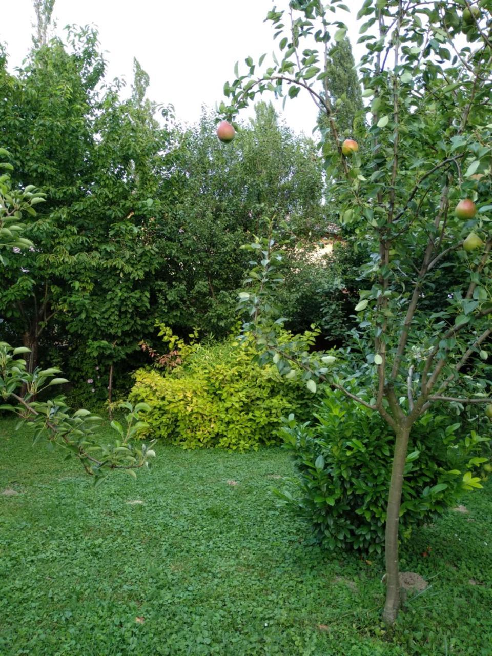 Villa Benaja Swiss Nyaralohaz Keszthely Exterior foto